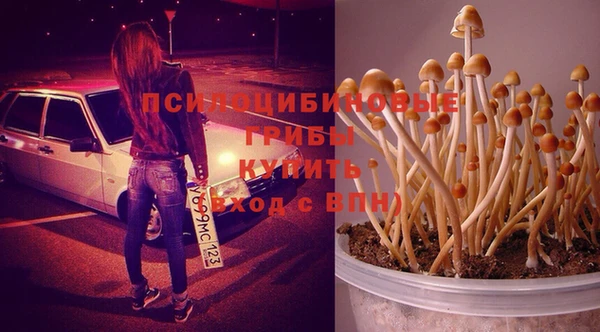 метадон Осташков