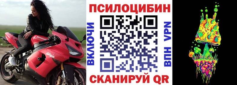 мега ССЫЛКА  Саянск  Галлюциногенные грибы мухоморы  сколько стоит 