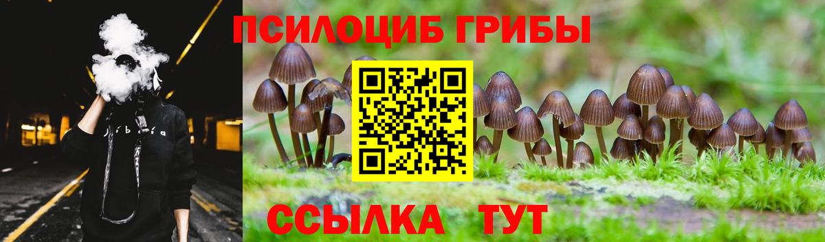 Псилоцибиновые грибы мицелий Саянск