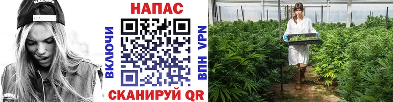 Конопля марихуана  как найти закладки  Саянск 